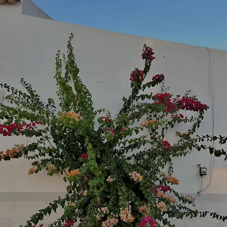 Country By Salgados Hébergement de vacances Pêra